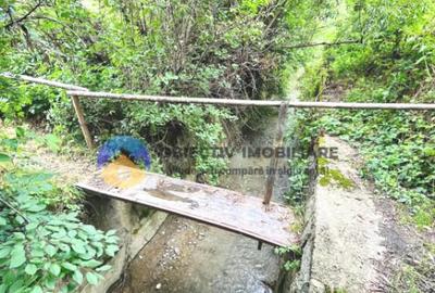 Teren intravilan 1657 mp sat Stejaru, comuna Pangarati - 2