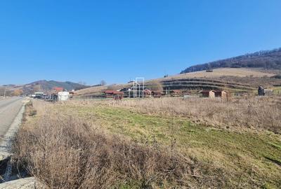 Teren 1000 Mp Intravilan De Vanzare, Langa Lac, Ivanesti - 1