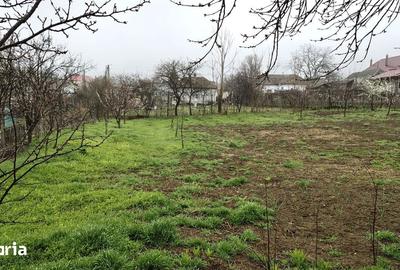 Casă cu Teren 1856 Mp în Central - 20