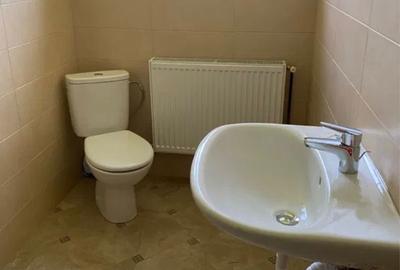 Spațiu comercial, de 240 mp, în Huși - 9