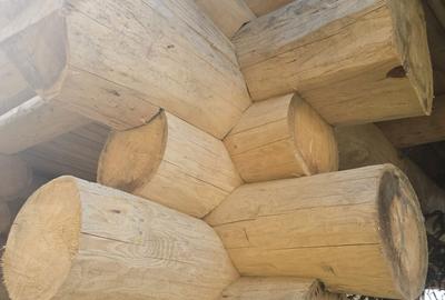 Casă cu 4 camere în Ortoaia - 7