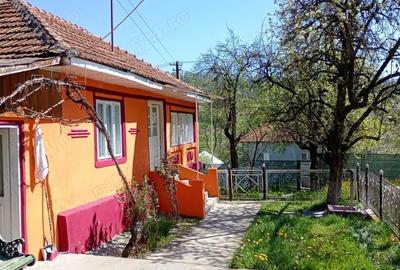 Casă cu 4 camere cu Teren 3600 Mp în Obislavu - 9