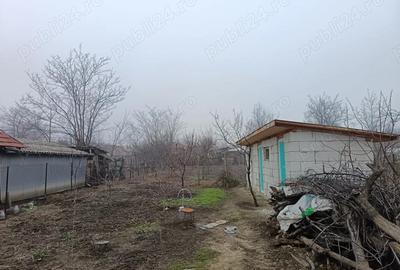 Casă cu 3 camere cu Teren 860 Mp în Pietroasele - 6