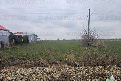 Teren comercial 7169mp la baza nod km35 pe A1 - 4