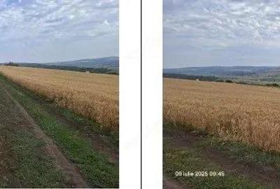 Teren Extravilan Pribesti, ID: R2774827 - 7