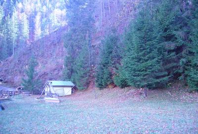 Lepsa Vrancea ,zona retrasa linistita si sigura,cabana si teren de vanzare - 5