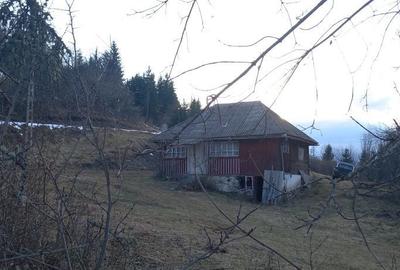 Casă cu 3 camere în Oidești - 6