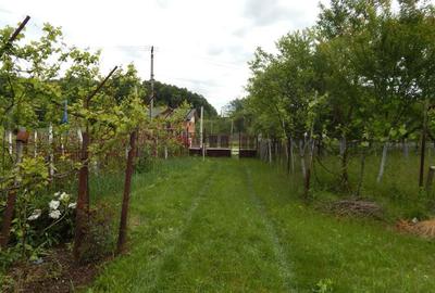 Casă cu 3 camere cu Teren 3850 Mp în Răchițele de Jos - 1