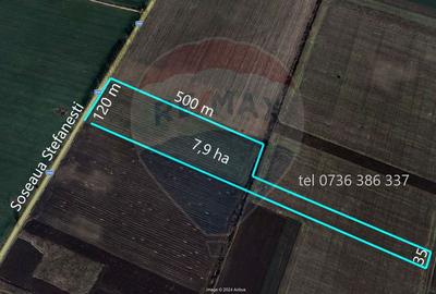 Teren Construcții intravilan de 79000 mp, în Afumați - 1