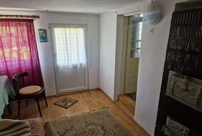 Casă cu 5 camere cu Teren 10426 Mp în Est - 11