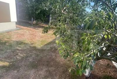 Casă cu Teren 260 Mp în Giarmata - 7