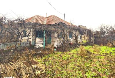 Teren de 1000 mp, în Săpoca - 2