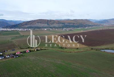 Teren agricol intravilan de 10000 mp, în Gârcina - 8
