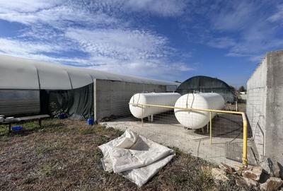 De vanzare-afacere la cheie - 9