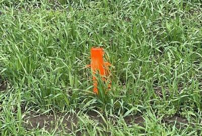 Teren agricol intravilan de 4000 mp, în Periferie - 2