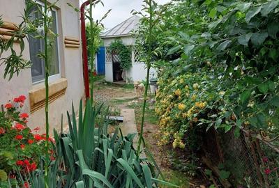 Casă cu 4 camere în Osica de Jos - 4