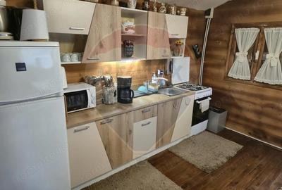 Casă cu 3 camere cu Teren 1268 Mp în Săpânța - 7