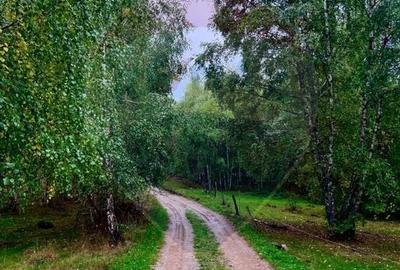 Teren Construcții intravilan de 7350 mp, în Bulz - 3