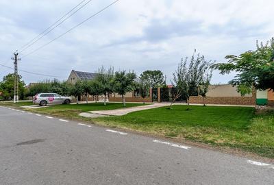 Casă individuală cu 4 camere cu Piscina în Secusigiu - 15