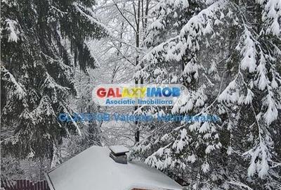 Vila 7 camere Predeal VI 084 - 38