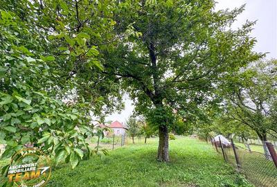 Casă individuală cu 4 camere cu Teren 1660 Mp în Lemnia - 5