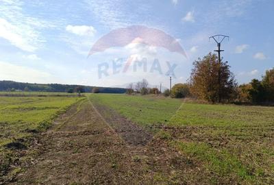 Teren Construcții intravilan de 800 mp, în Ghermănești - 7