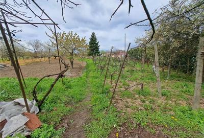 RECO Casa dubla teren generos - 2