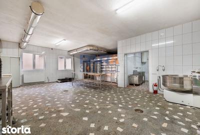 Spațiu comercial, de 380 mp, în Cordun - 12