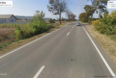 Teren de 10000 mp, în Timișești - 6