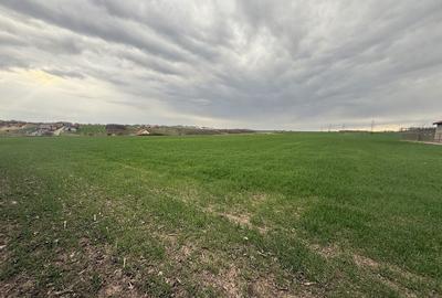 Teren de 15000 mp, în Aroneanu - 7