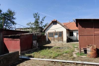 Casa gospodarie in Belint - 5