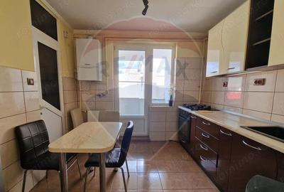 Apartament cu 4 camere de inchiriat - Aleea Dobrogei - 5