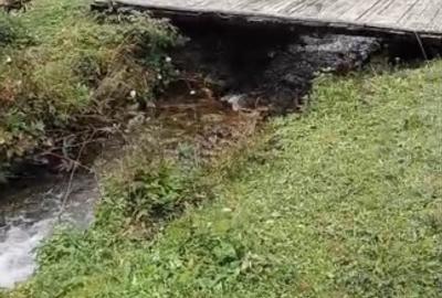 Teren Construcții intravilan de 6000 mp, în Ortoaia - 15