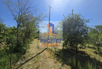 Casa cu 4 camere, anexa si teren de 1416 mp in Leordeni - 18