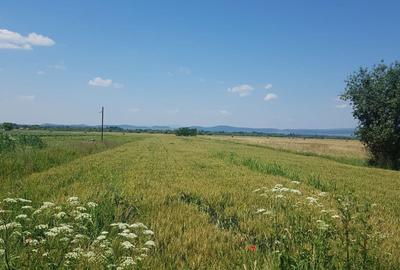 Spațiu comercial, în Dobârlău - 3
