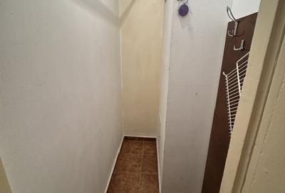 Apartament cu 2 camere decomandat în Sălăjan - 20