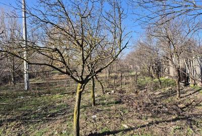 Casă în Brâncoveanca - 2