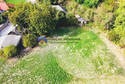 CASA + teren intravilan,  comuna BODESTI - 4