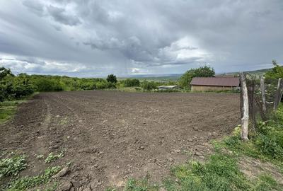 Spațiu comercial, în Covasna - 6