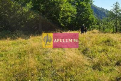 Teren de 744 mp, în Periferie - 5