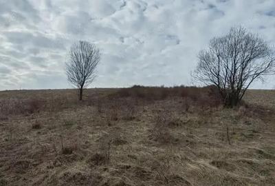 Teren 2282 mp, extravilan, localitatea Fasca, comuna Varciorog, jud. Bihor - 4