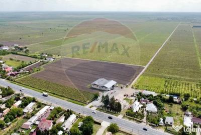 Teren de 540286 mp, în Urechești - 4