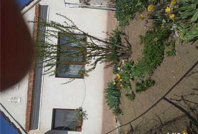 Casă cu 6 camere cu Teren 9000 Mp în Orăștioara de Jos - 1