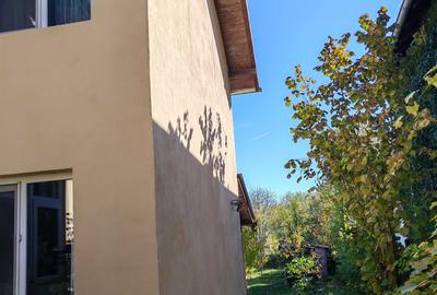 Casă cu 3 camere în Răzvad - 4