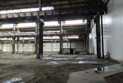 Birouri, spatiu industrial, hale Zona Libera Giurgiu ID 17096 - 8