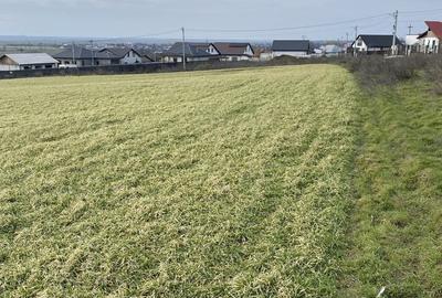 Teren de 5000 mp, în Exterior Vest - 2