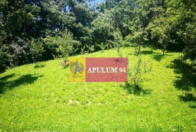 Teren de vanzare in Comarnic (zona Poiana) - 4