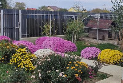 Casă cu 2 camere cu Teren 435 Mp în Horia - 8