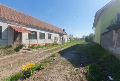 Casă cu 5 camere cu Teren 2259 Mp în Zădăreni - 15