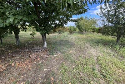 Casă individuală cu 6 camere cu Teren 1354 Mp în Țifești - 31